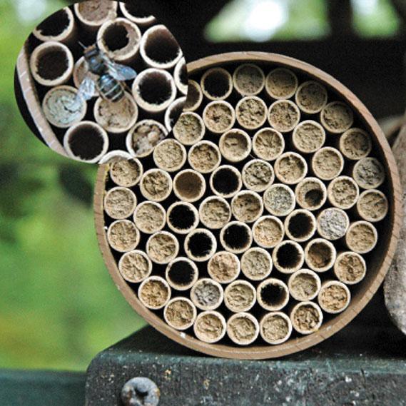 Mason Bee Kit 68 Tubes - Grow Organic Mason Bee Kit 68 Tubes Weed and Pest