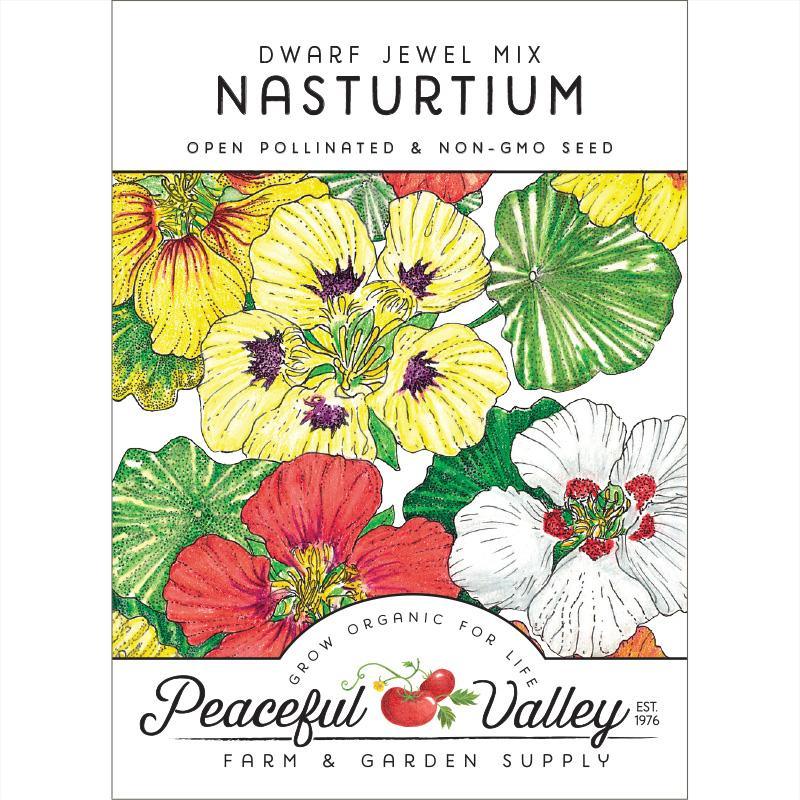 Nasturtium, Dwarf Jewel Mix (pack) Peaceful Valley