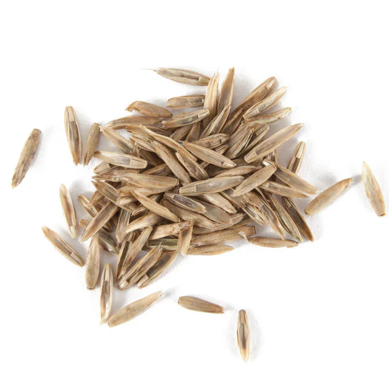 Organic Ryegrass, Intermediate (lb) Grow Organic