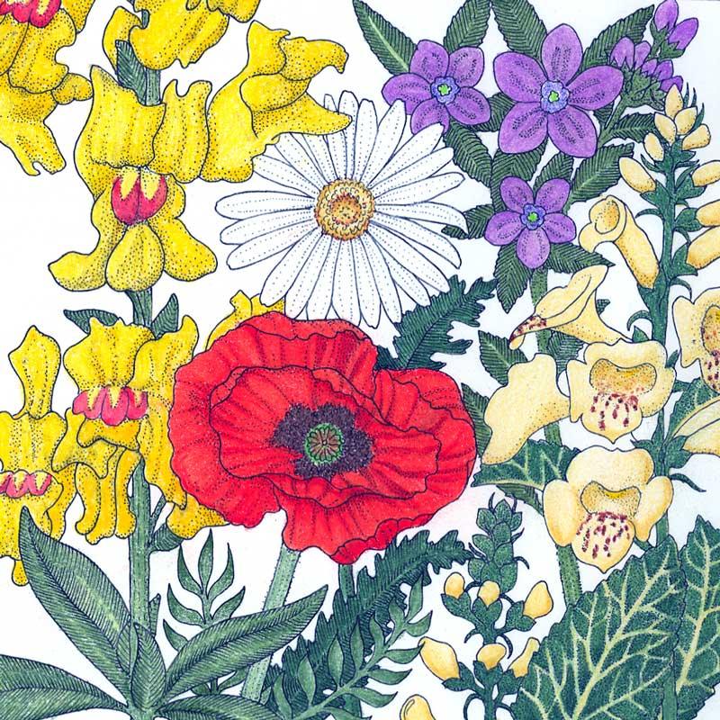 North American Shade Wildflower Mix (1/4 lb) Peaceful Valley