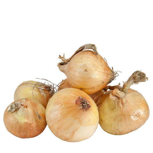 Onion Sets - Yellow Stuttgarter (Pack of 80) - Grow Organic Onion Sets - Yellow Stuttgarter (Pack of 80) Garlic, Onions & Leeks