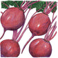 Organic Beet, Early Wonder Tall (1/4 lb) - Grow Organic Organic Beet, Early Wonder Tall (1/4 lb) Vegetable Seeds