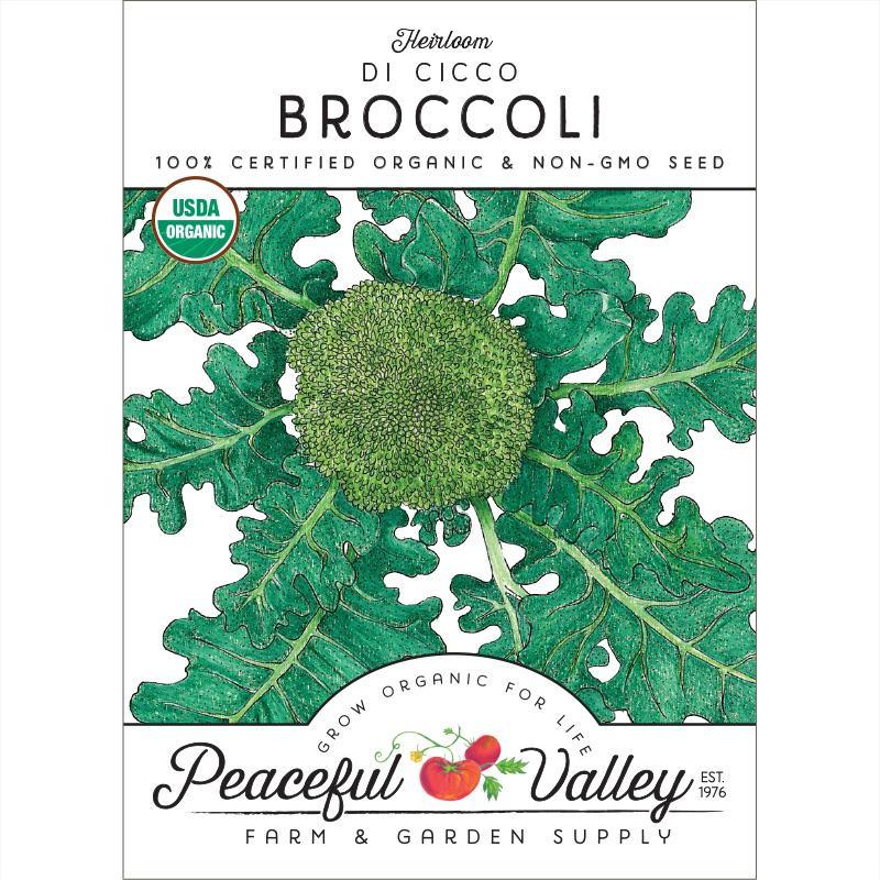 Di Cicco Broccoli Seeds (Organic) Peaceful Valley