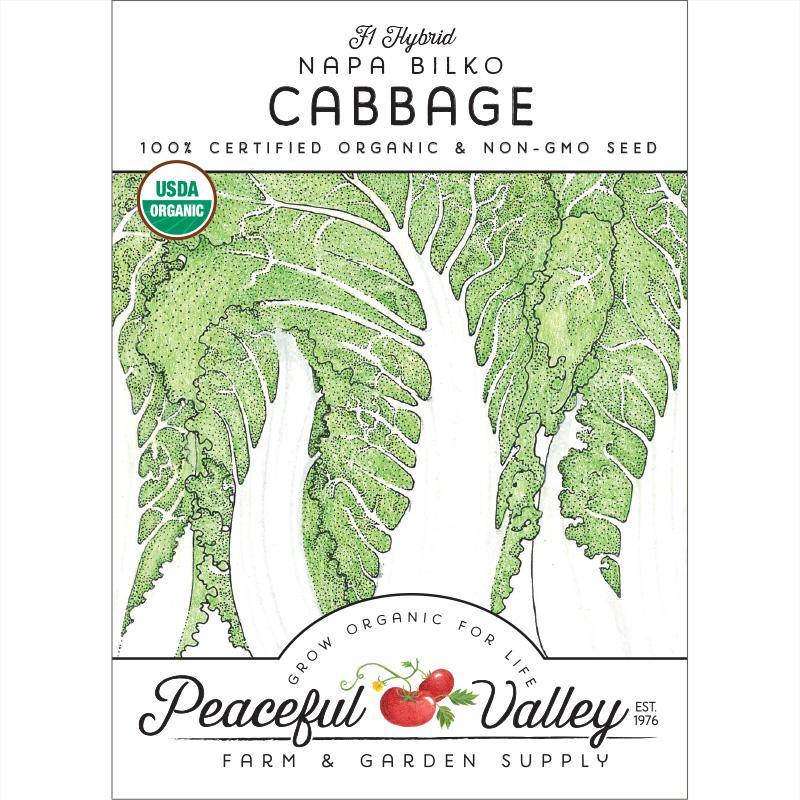 Napa Bilko Cabbage Seeds (Organic) Peaceful Valley