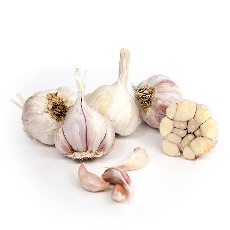 Organic Garlic, California Late White (lb) Grow Organic