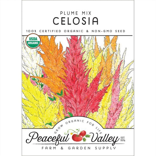 Plume Celosia Mix Seeds (Organic) Peaceful Valley