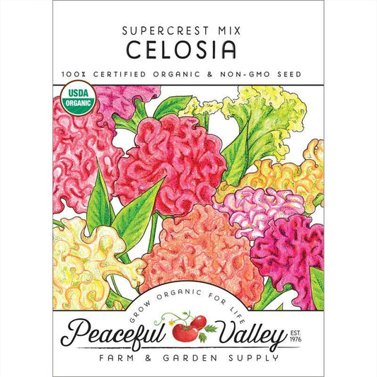 Supercrest Celosia Mix (Organic) Peaceful Valley