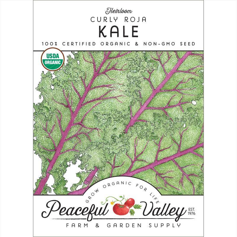 Curly Roja Kale Seeds (Organic) Peaceful Valley