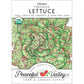 Freckles Lettuce Seeds (Organic) - Grow Organic Freckles Lettuce Seeds (Organic) Vegetable Seeds