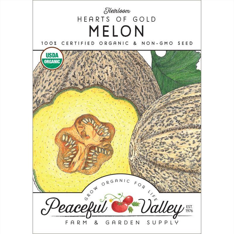 Hearts of Gold Melon Seeds (Organic) Peaceful Valley