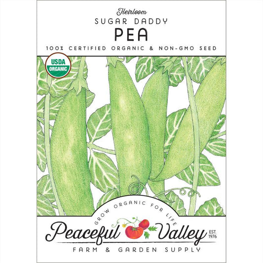 Sugar Daddy Pea Seeds (Organic) - Grow Organic Sugar Daddy Pea Seeds (Organic) Vegetable Seeds