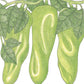 Organic Pepperoncini, Greek Golden (1 oz) - Grow Organic Organic Pepperoncini, Greek Golden (1 oz) Vegetable Seeds