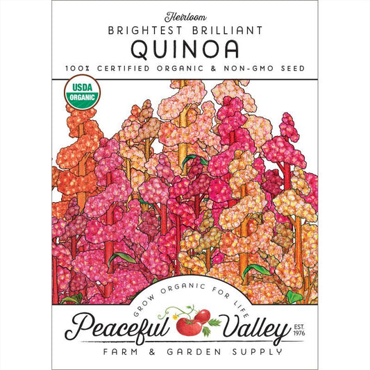 Brightest Brilliant Quinoa Seeds (Organic) - Grow Organic Brightest Brilliant Quinoa Seeds (Organic) Vegetable Seeds