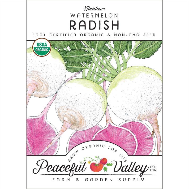 Watermelon Radish Seeds (Organic) Peaceful Valley