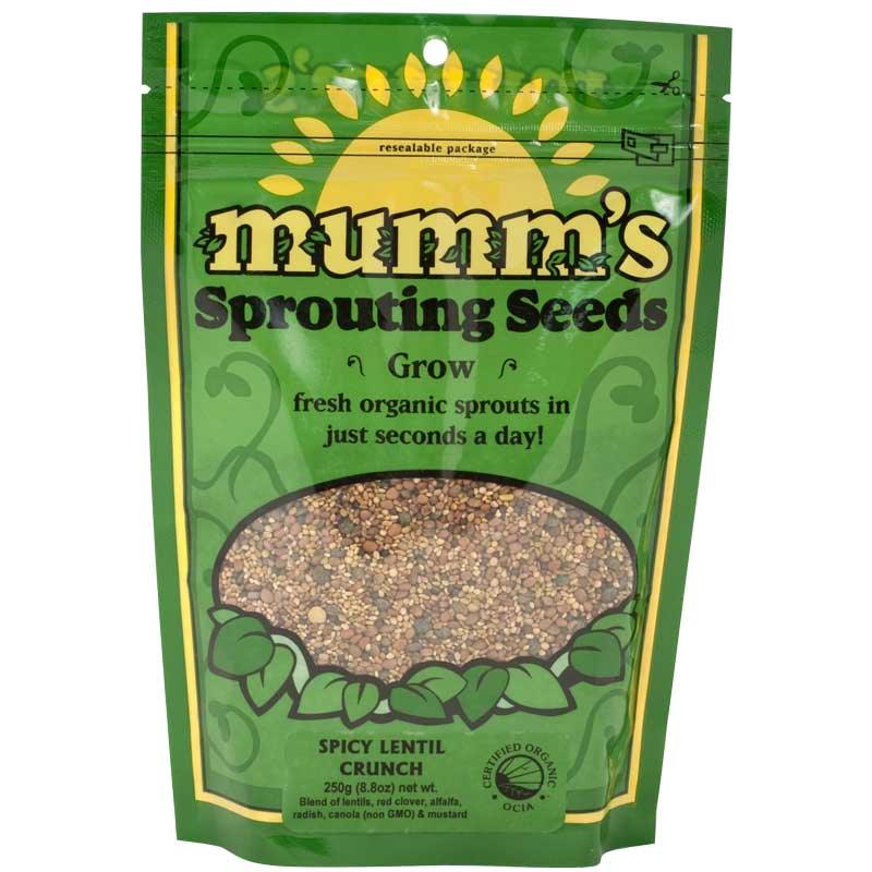 Organic Spicy Lentil Sprouting Seed Mix Mumm's