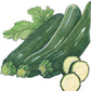 Organic Squash, Summer Dark Green Zucchini (1/4 lb) Organic Squash, Summer Dark Green Zucchini (1/4 lb) Vegetable Seeds