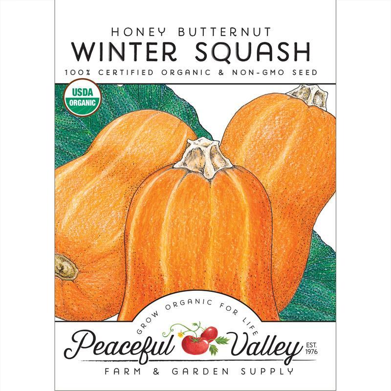 Honey Butternut Winter Squash Seeds (Organic) Peaceful Valley