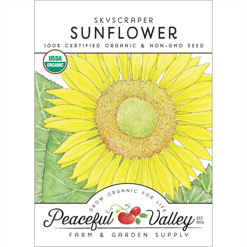 Organic Sunflower, Skyscraper - Grow Organic Organic Sunflower, Skyscraper Flower Seed & Bulbs