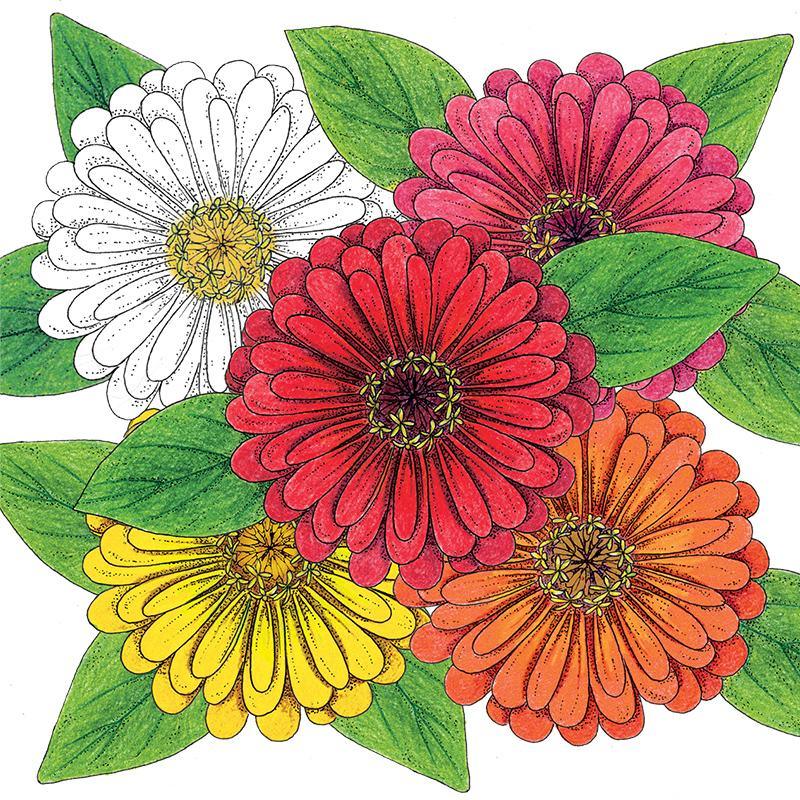 Organic Zinnia, Thumbelina Mix 1 oz Peaceful Valley