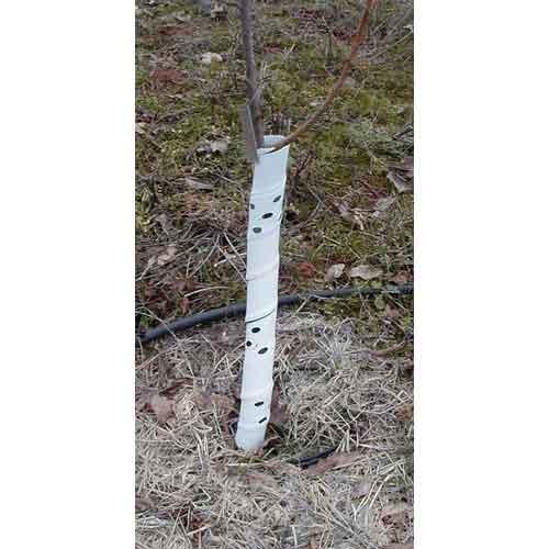 Spiral Tree Guards - 36" (Pack of 5) Grow Organic