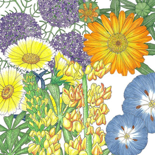 Peaceful Valley Flowering Pollinator Mix (lb) SpringSale2023