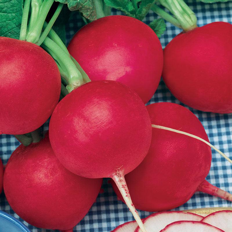German Giant Radish (Organic) True Leaf Market