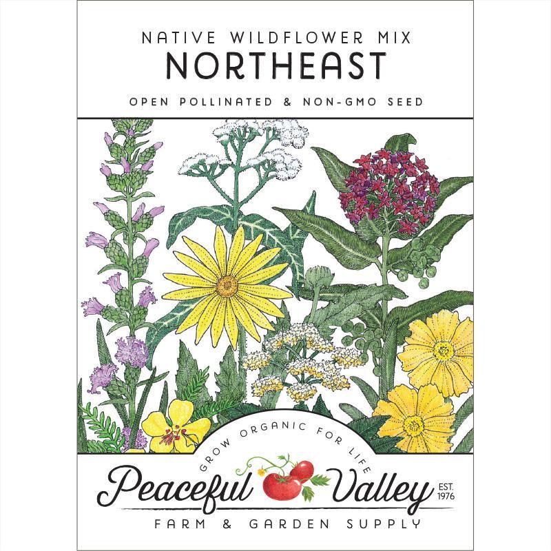 native northeast wildflower seed mix Regional Northeast Native Wildflower Mix (pack) – Grow Organic
