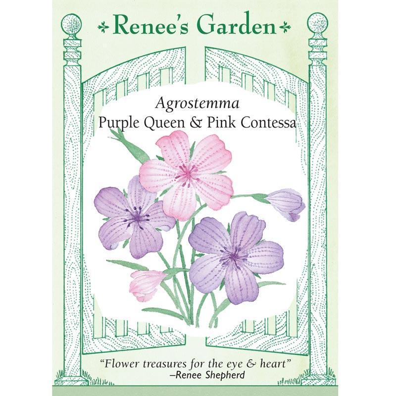 Renee's Garden Agrostemma Purple Queen and Pink Contessa Renee's Garden Agrostemma Purple Queen and Pink Contessa (Heirloom) Flower Seed & Bulbs