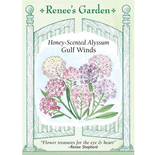  Renee's Garden Alyssum Honeyscented Gulf Winds Mix Flower Seed & Bulbs