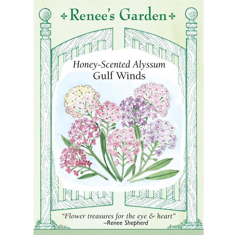 Honeyscented Gulf Winds Alyssum Flower Seed Mix Renee's Garden