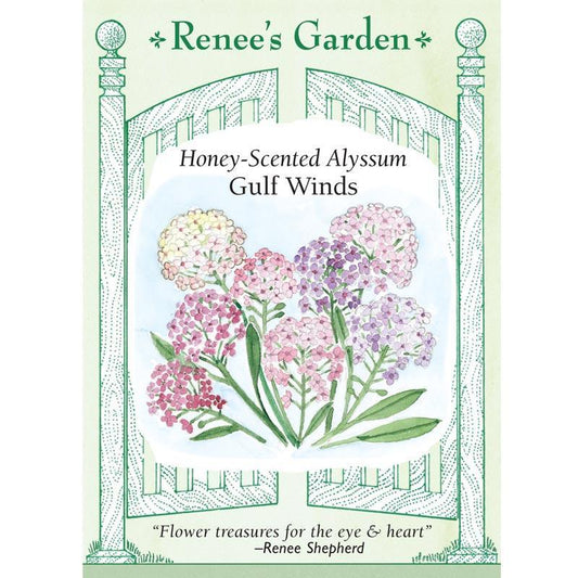 Honeyscented Gulf Winds Alyssum Flower Seed Mix Renee's Garden