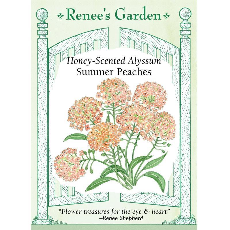 Renee's Garden Alyssum Summer Peaches - Grow Organic Renee's Garden Alyssum Summer Peaches Flower Seed & Bulbs