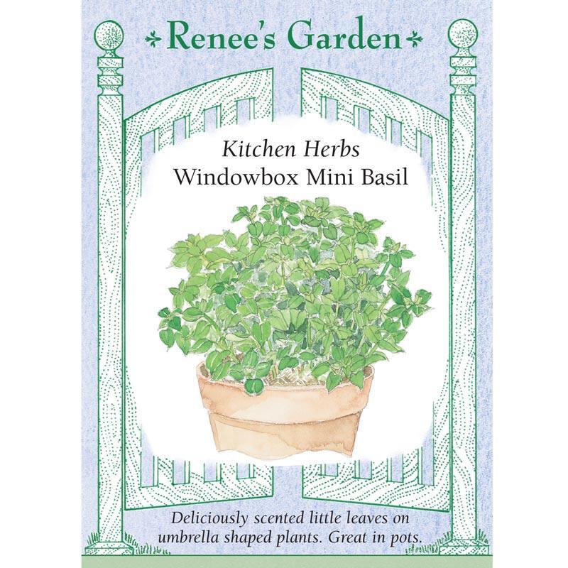 Windowbox Mini Basil Seeds Renee's Garden
