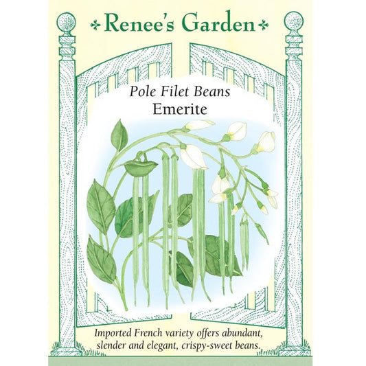Renee's Garden Bean Pole Emerite Filet - Grow Organic Renee's Garden Bean Pole Emerite Filet Vegetable Seeds