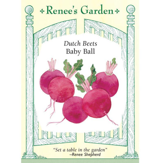 Renee's Garden Beet Dutch Baby Ball - Grow Organic Renee's Garden Beet Dutch Baby Ball Vegetable Seeds