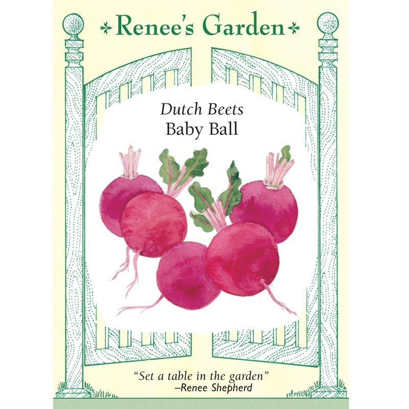 garden beet seeds Dutch Baby Ball Beet Seeds