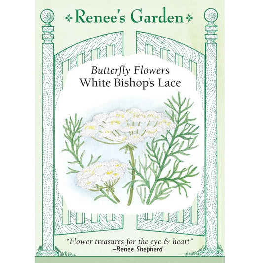 Renee's Garden Bishop's Lace Butterfly White (Heirloom) Renee's Garden Bishop's Lace Butterfly White (Heirloom) Flower Seed & Bulbs
