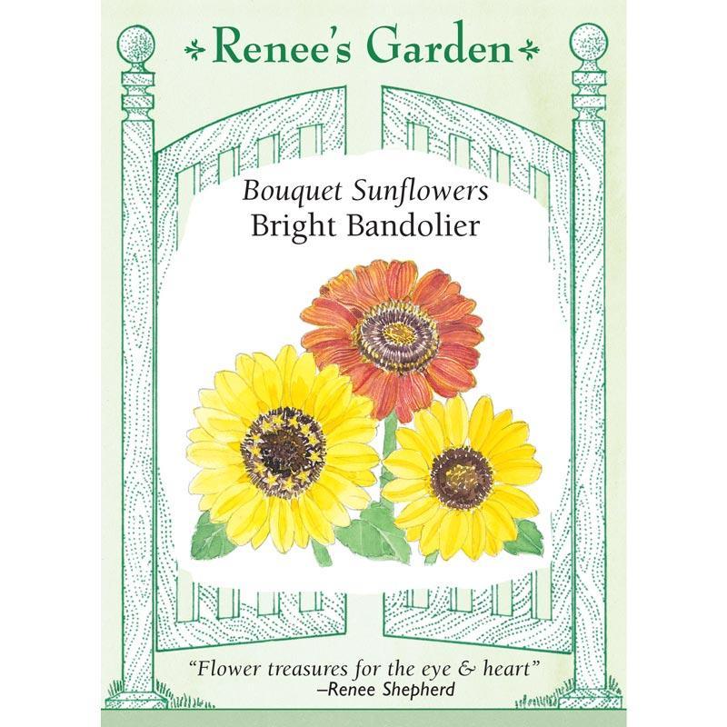 Bright Bandolier Bouquet Sunflower Seeds Renee's Garden