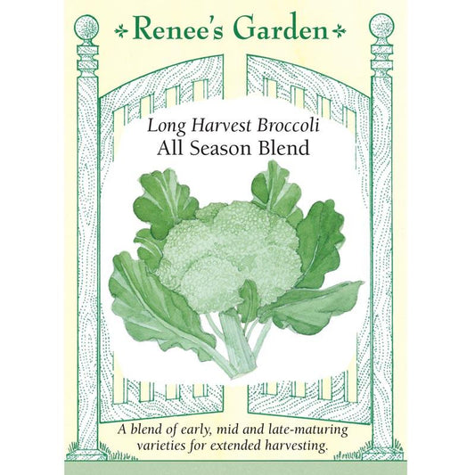 Renee's Garden Broccoli All Season Blend - Grow Organic Renee's Garden Broccoli All Season Blend Vegetable Seeds