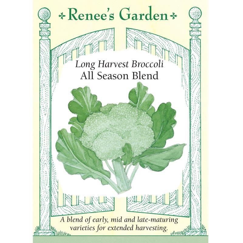 All Season Broccoli Blend Seed Mix Renee's Garden