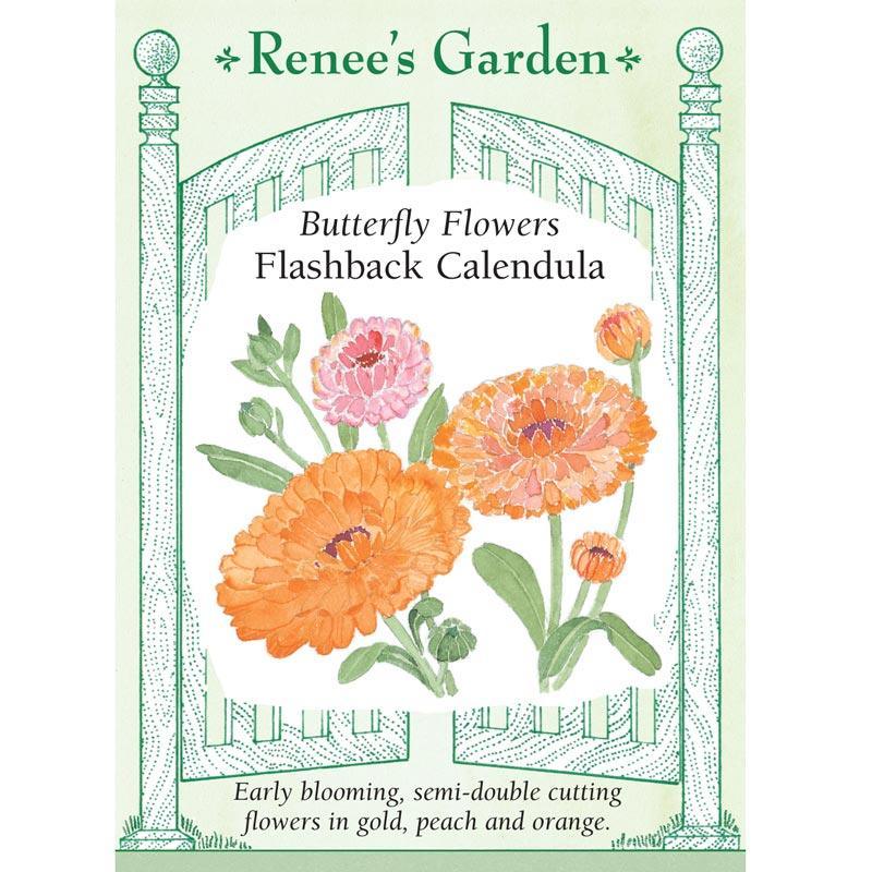 Flashback Butterfly Calendula Flower Seeds Renee's Garden