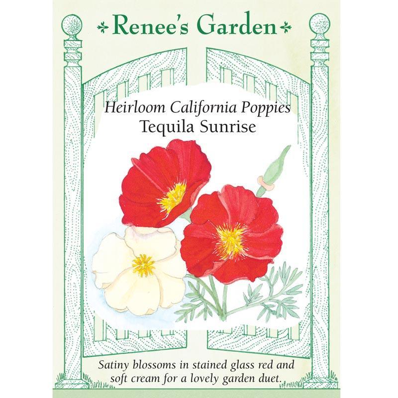 tequila plant seeds Tequila Sunrise California Poppy Flower Seeds