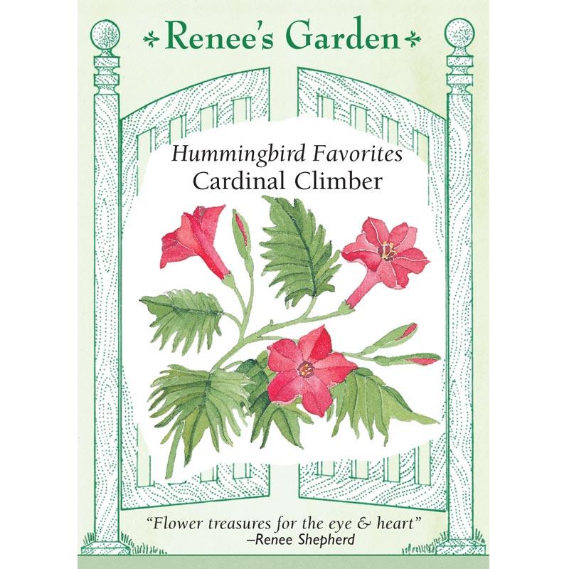 Renee's Garden Cardinal Climber Vine (Heirloom) Renee's Garden Cardinal Climber Vine (Heirloom) Flower Seed & Bulbs