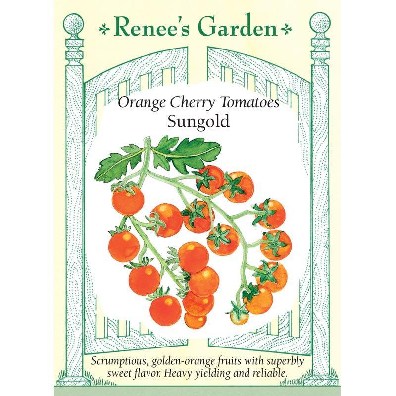 Sungold Orange Cherry Tomato Seeds Renee's Garden