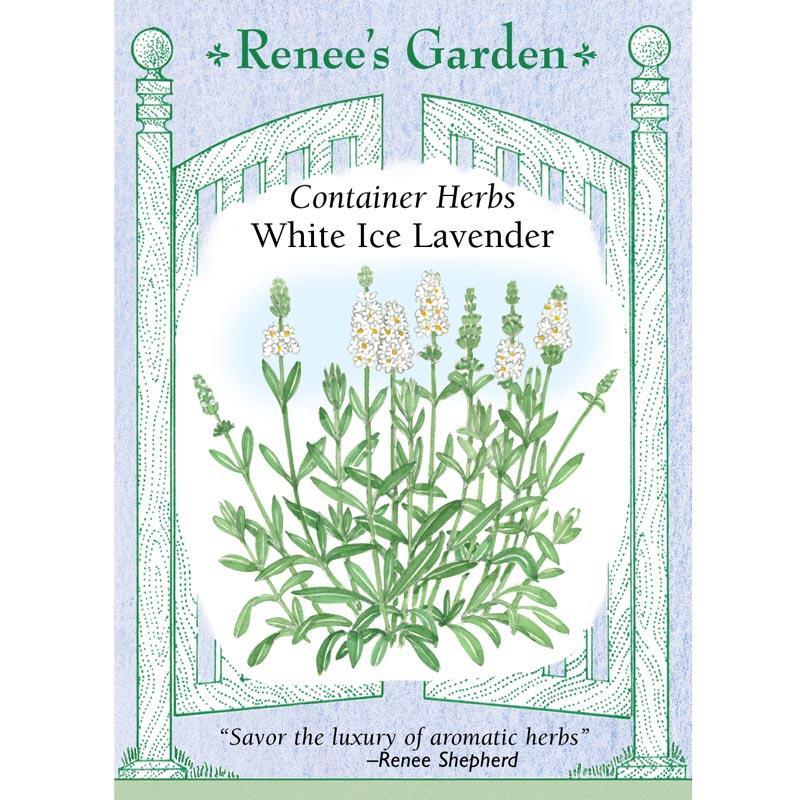 White Ice Container Lavender Seeds Renee's Garden