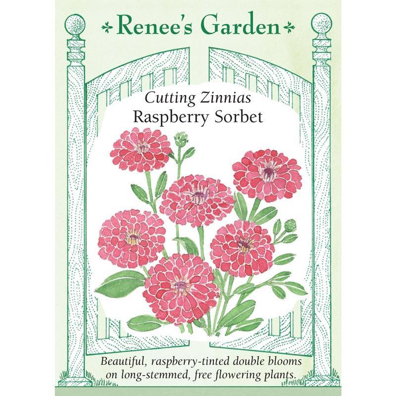 Raspberry Sorbet Cutting Zinnia Flower Seeds Renee's Garden