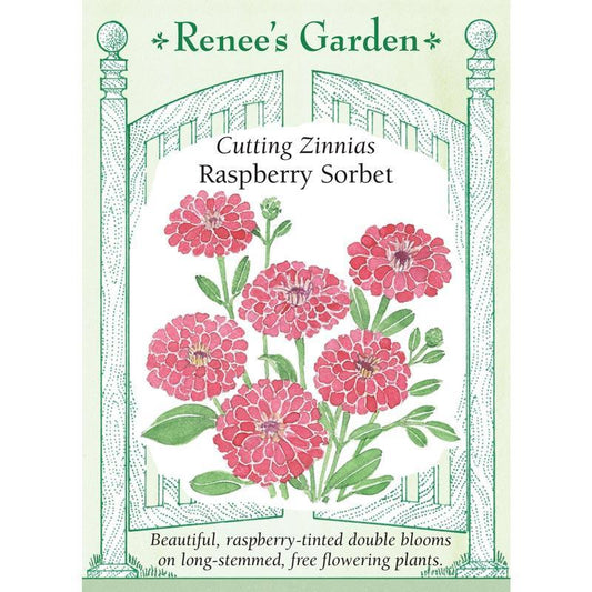 Raspberry Sorbet Cutting Zinnia Flower Seeds Renee's Garden