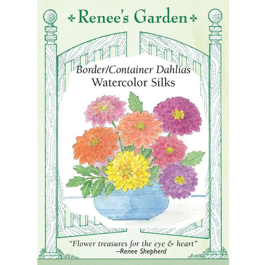 Watercolor Silks Dwarf Dahlia Flower Seeds Renee's Garden