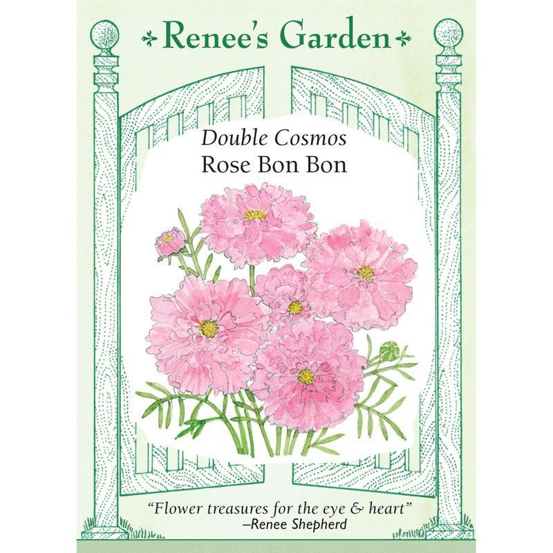 Rose Bon Bon Double Cosmos Flower Seeds Renee's Garden