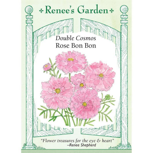 Rose Bon Bon Double Cosmos Flower Seeds Renee's Garden